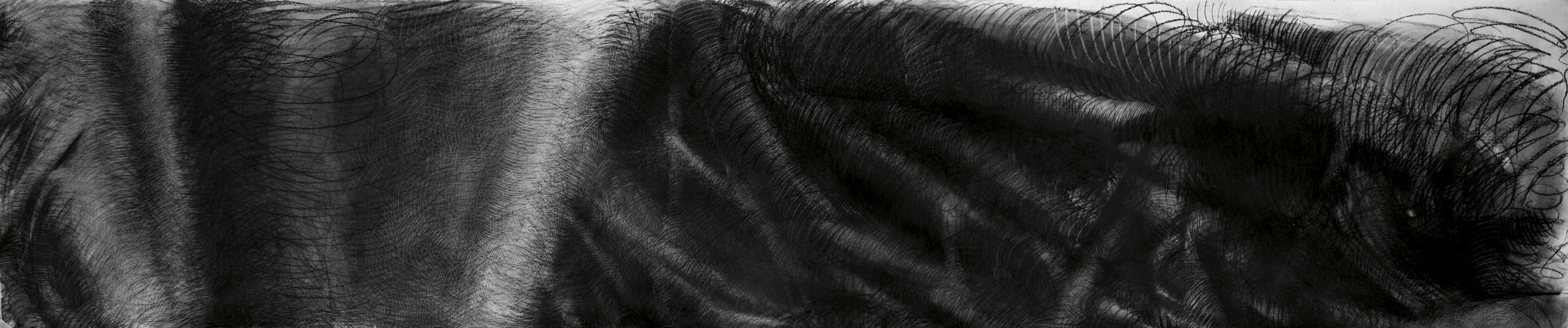 A black and white charcoal drawing of a root-like object with visible fine lines and volume.