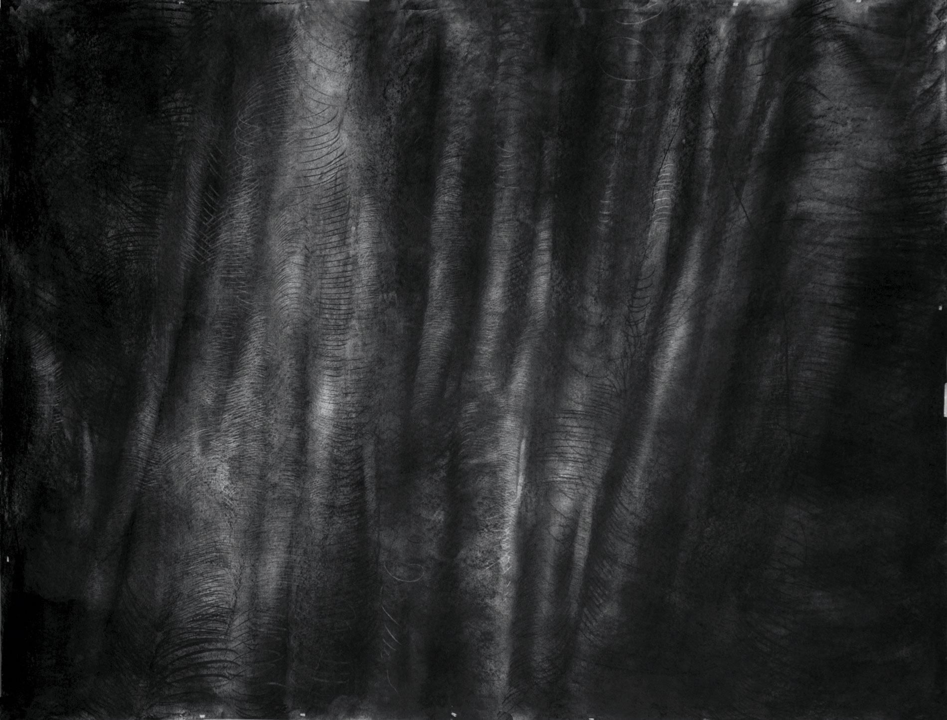 A black and white charcoal drawing of a root-like object with visible fine lines and smooth visual fog-like volume.