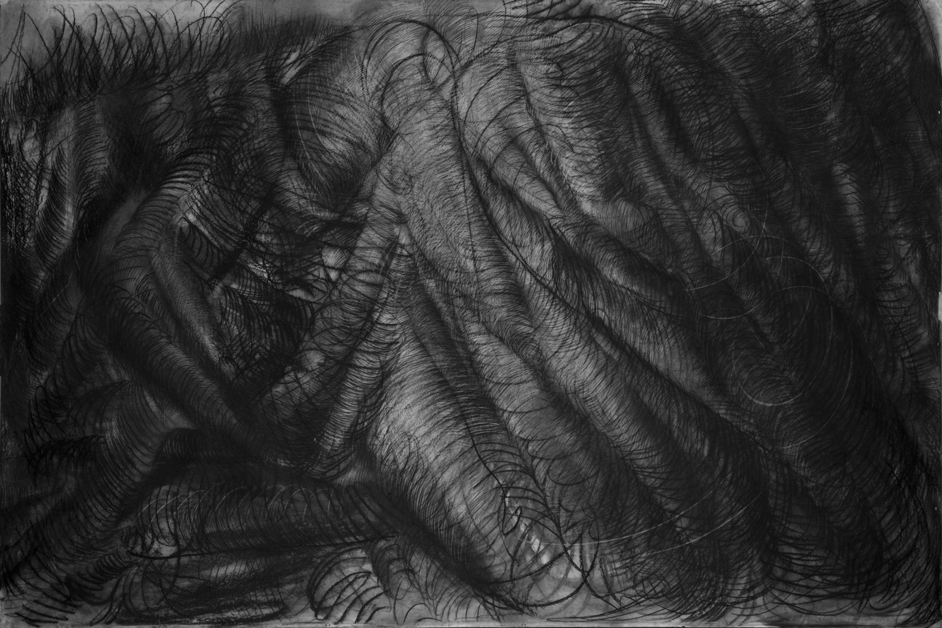 A black and white charcoal drawing of a root-like object with visible fine lines and volume.