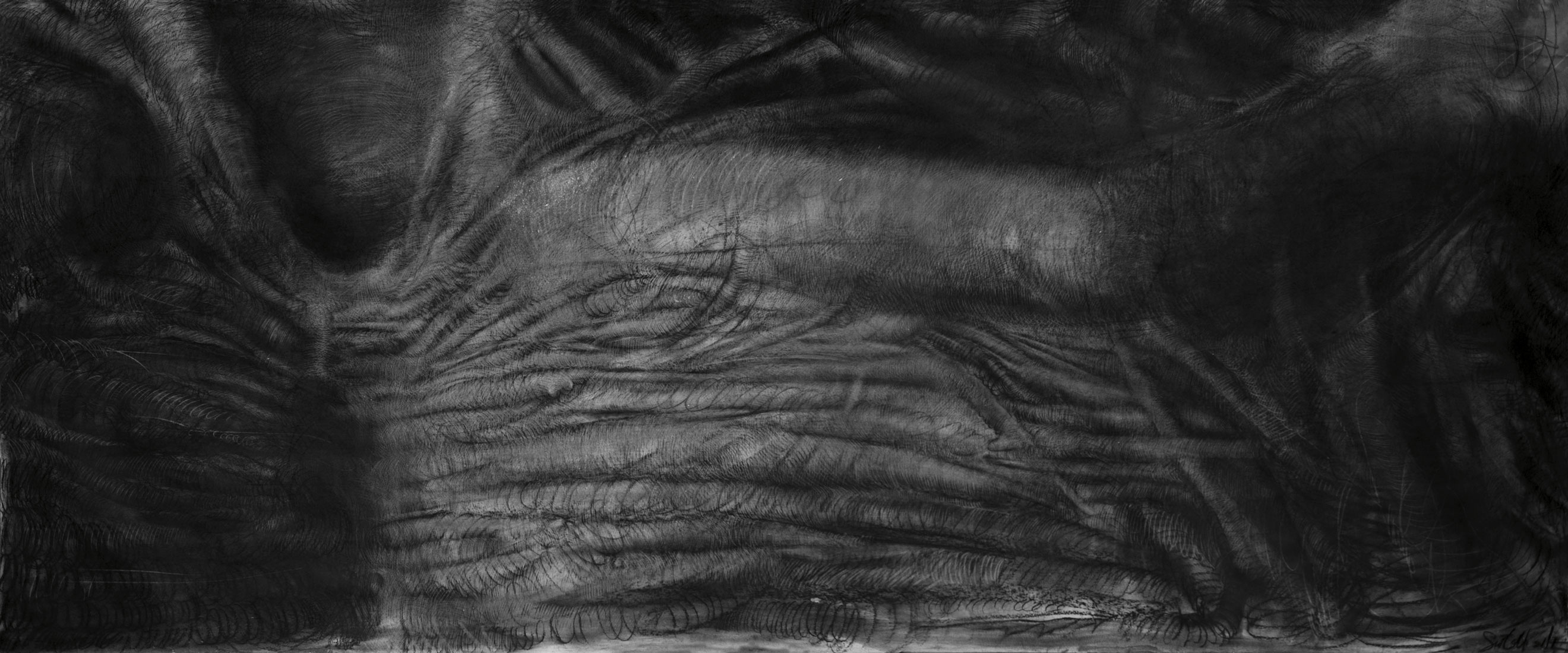 A black and white charcoal drawing of a root-like object from the upper part of the human body, with visible fine lines and volume.